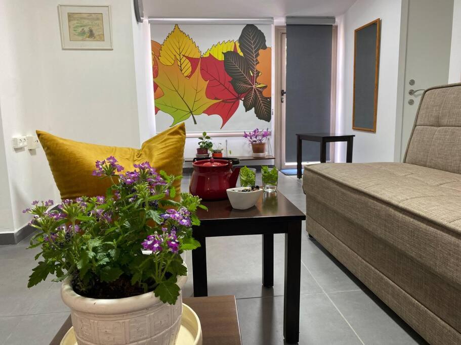 קומותיים ברמה Apartment Sha'al Exterior foto
